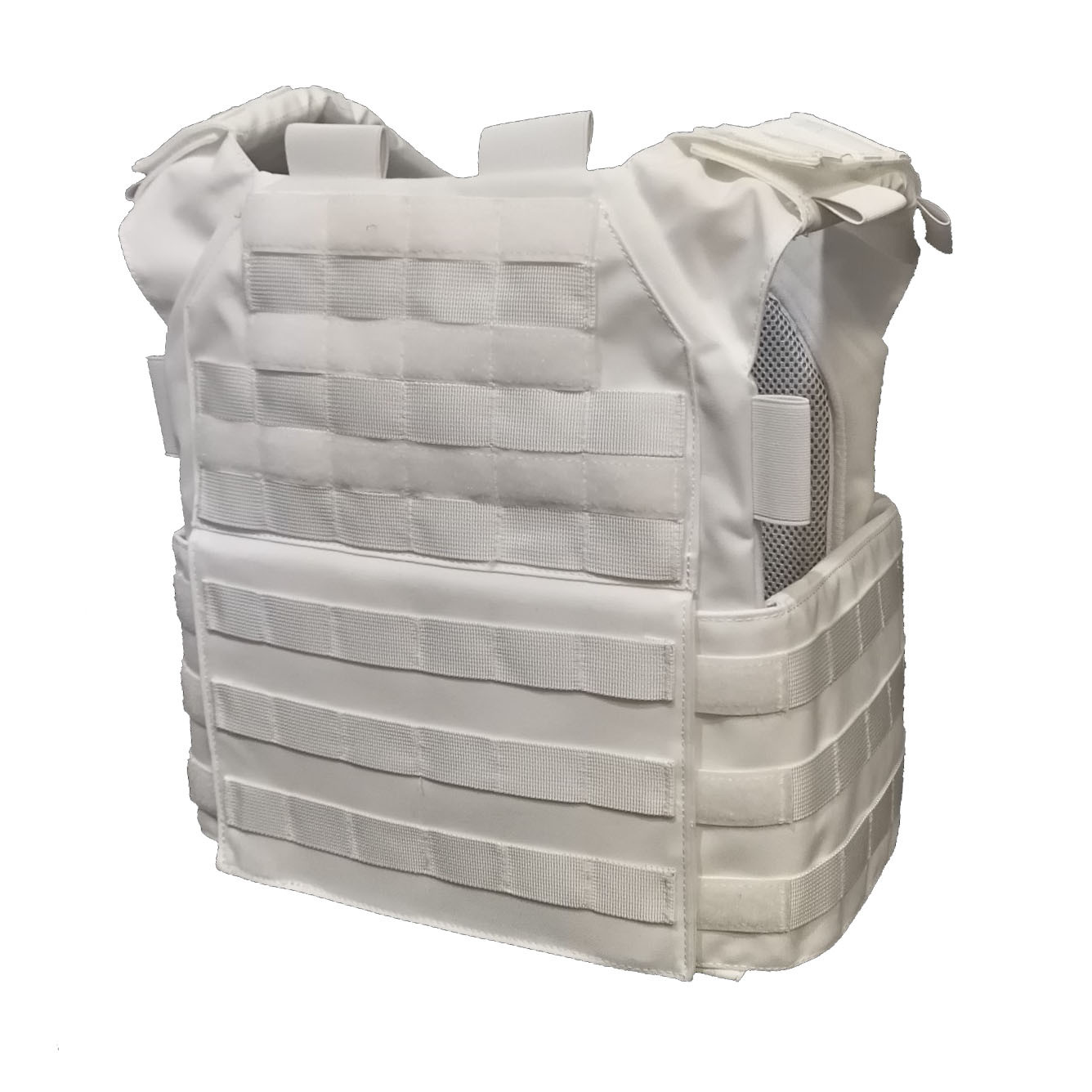 Plate Carrier, M24, Lumi